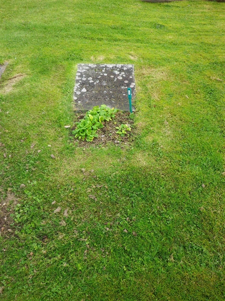 Grave number: VI J   145