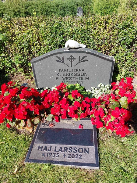 Hautatunnus: 1 D   040