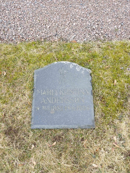 Grave number: SV 5  119