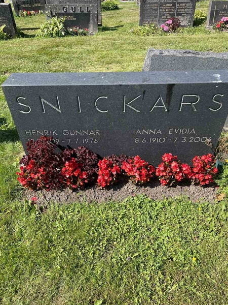 Hautatunnus: N 5 1    53