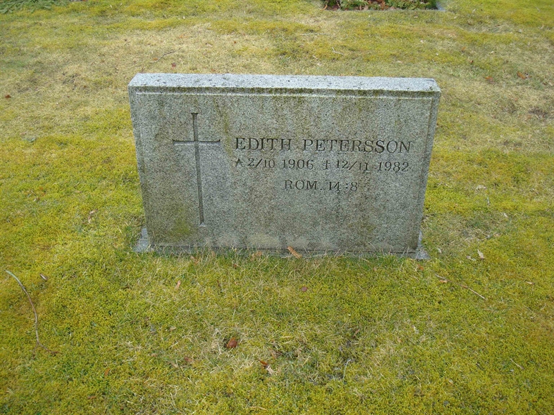 Grave number: BR D   442