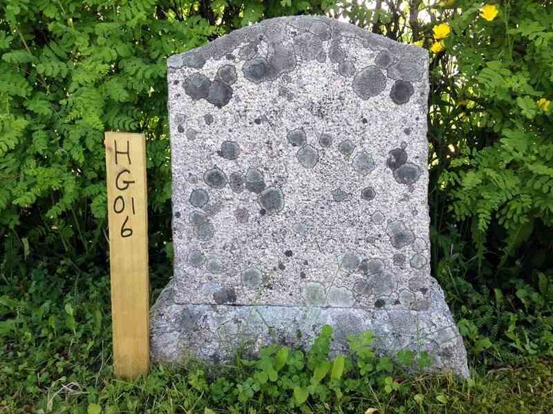 Grave number: HG 01     6