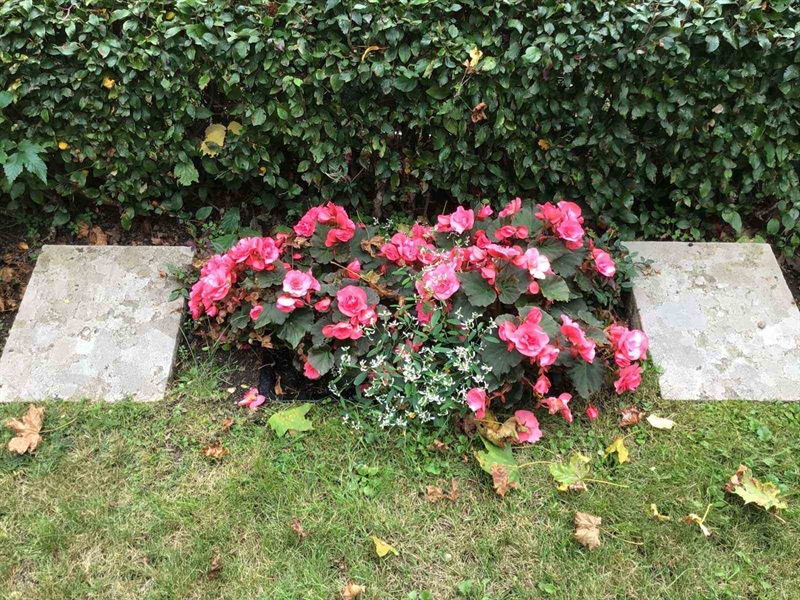 Hautatunnus: Kaga ga   129b