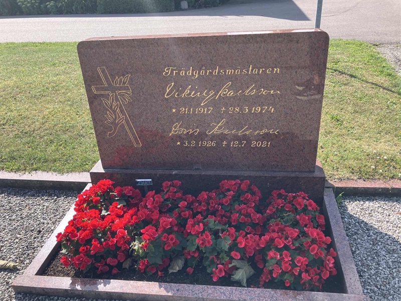 Hautatunnus: NÅ 25 119, 120