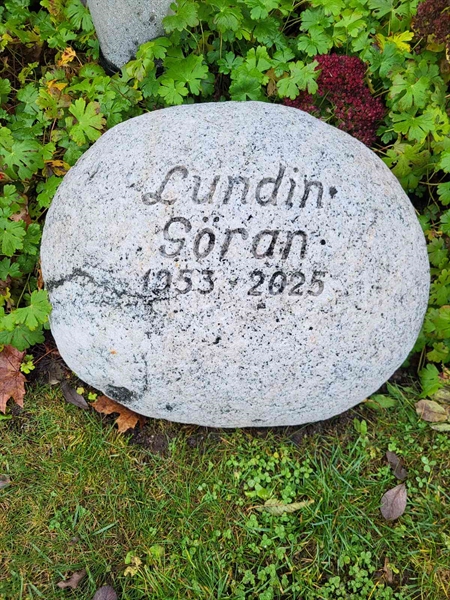 Grave number: T AG    81-82