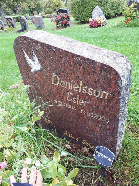 Gravnummer: NK F D   256