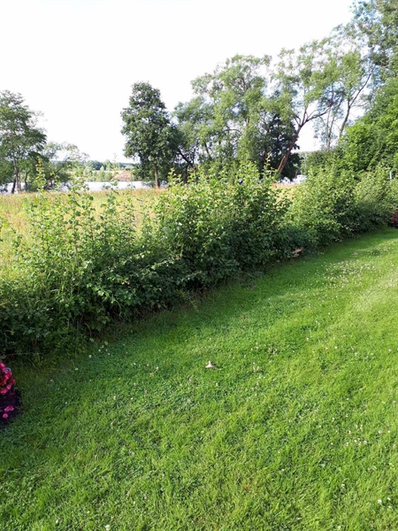 Gravnummer: GK F 5   522C-523A