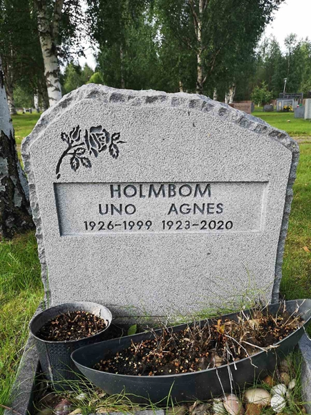 Hautatunnus: NK 17    37