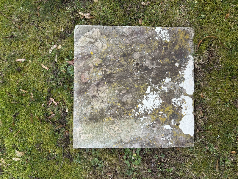 Gravnummer: LE   328