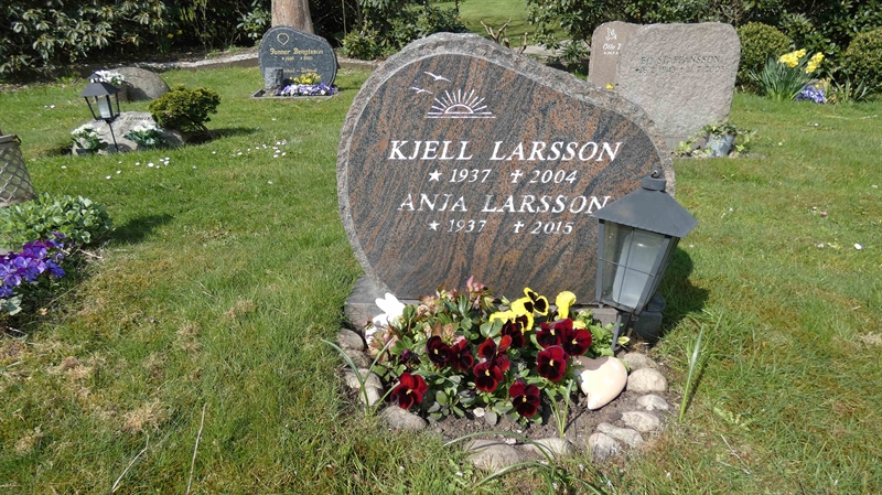 Gravnummer: SN U8    46