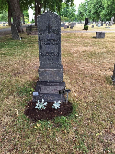 Grave number: 3 01   75
