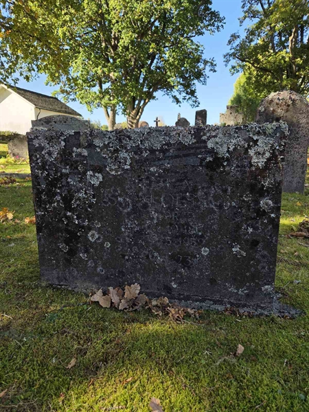 Grave number: T A A   353