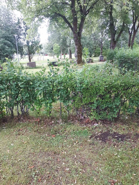 Gravnummer: GK F 5   611