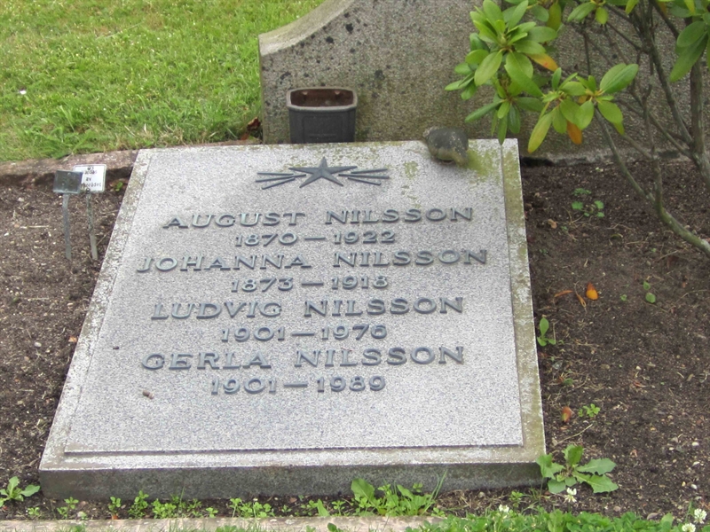 Grave number: 1 3    62