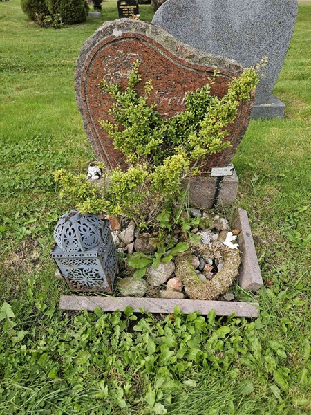 Hautatunnus: Fr 8   184