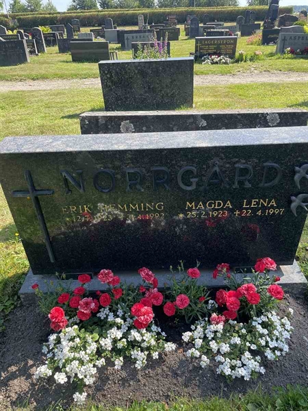 Hautatunnus: N 5 2   203