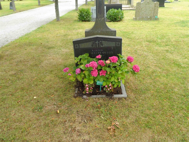 Grave number: SK B     1, 2, 3