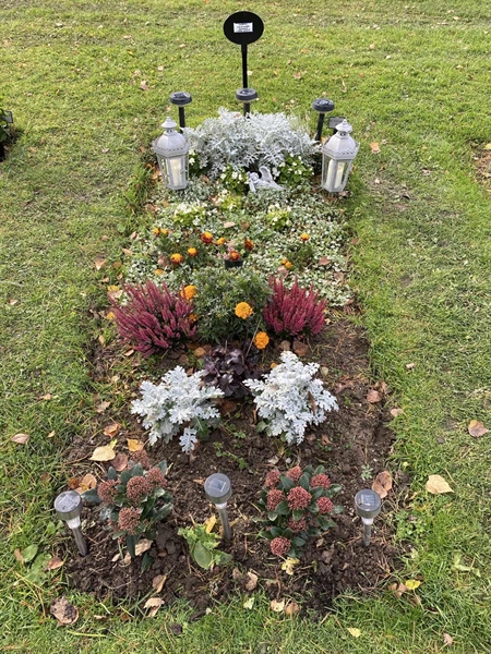 Hautatunnus: 2 G    95