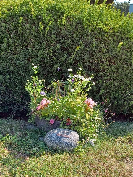 Hautatunnus: OS ÖK    64, 65