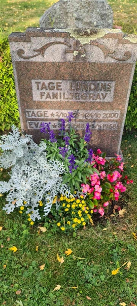 Grave number: M G   91, 92