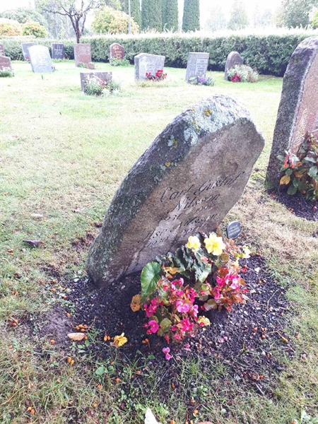 Hautatunnus: NK F D   237