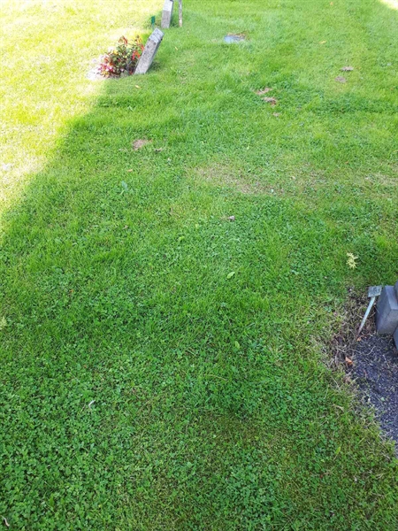 Gravnummer: NK A A   284