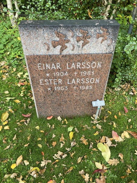 Gravnummer: 1 H   254