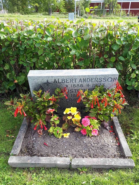 Gravnummer: NK F B   217B