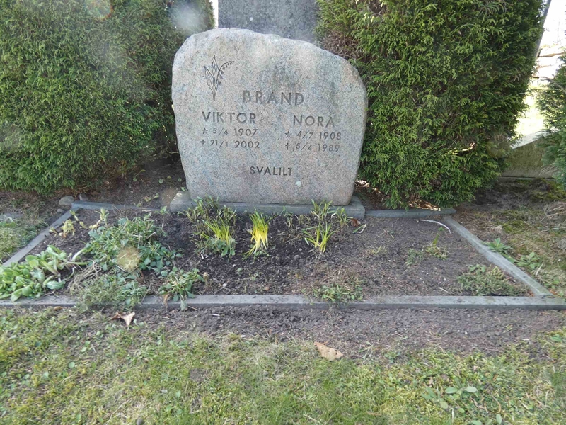 Grave number: BR G   312