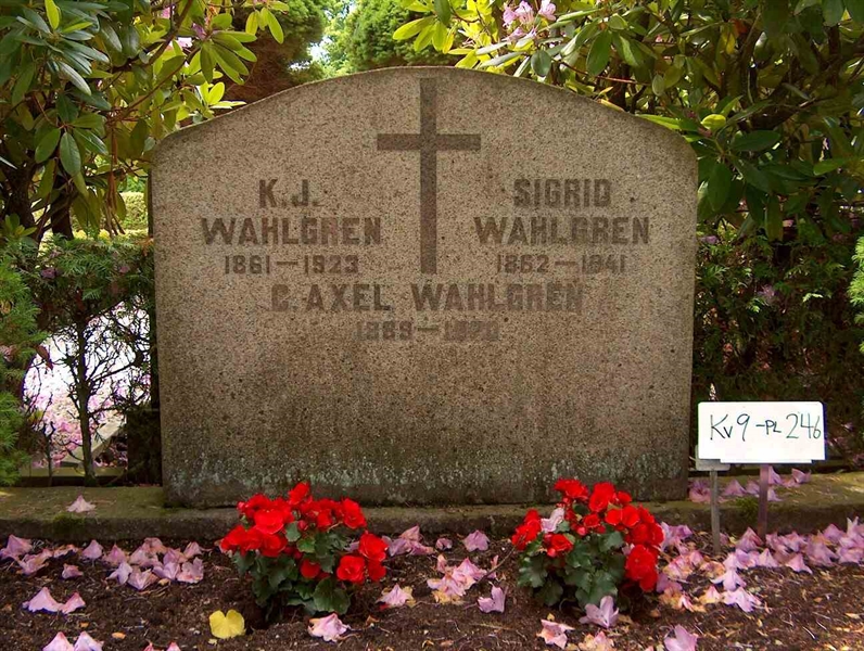 Grave number: HÖB 9   246