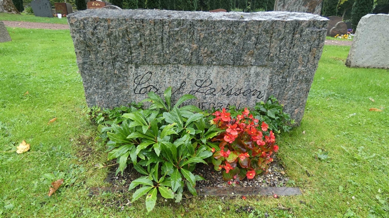 Gravnummer: SN C   134