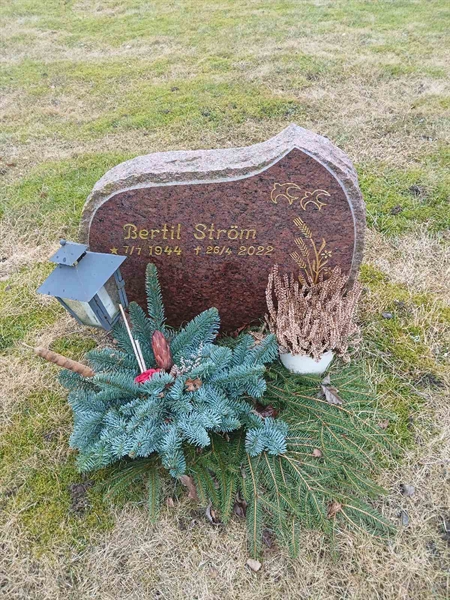 Hautatunnus: Si A   39