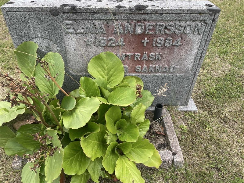 Grave number: 001 1   415