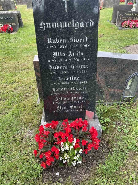 Hautatunnus: N 4 3   322