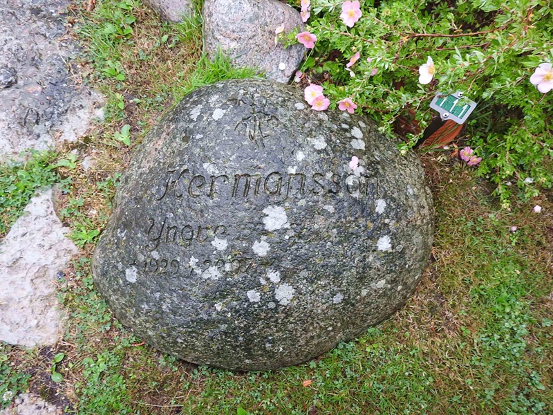 Gravnummer: BRO 2U D   111