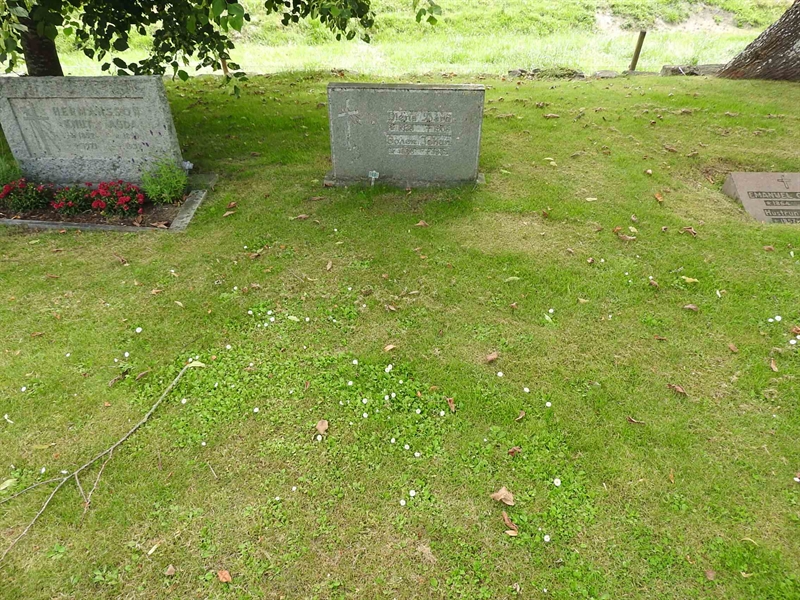 Hautatunnus: BRO 1    19