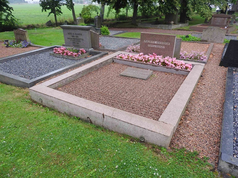 Hautatunnus: BRO 1   189