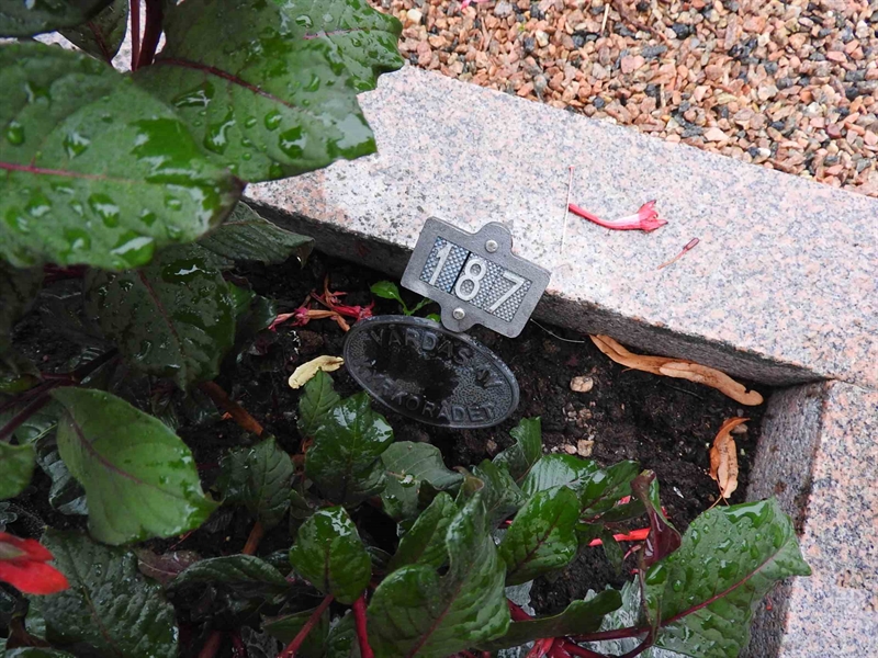 Hautatunnus: BRO 1   187