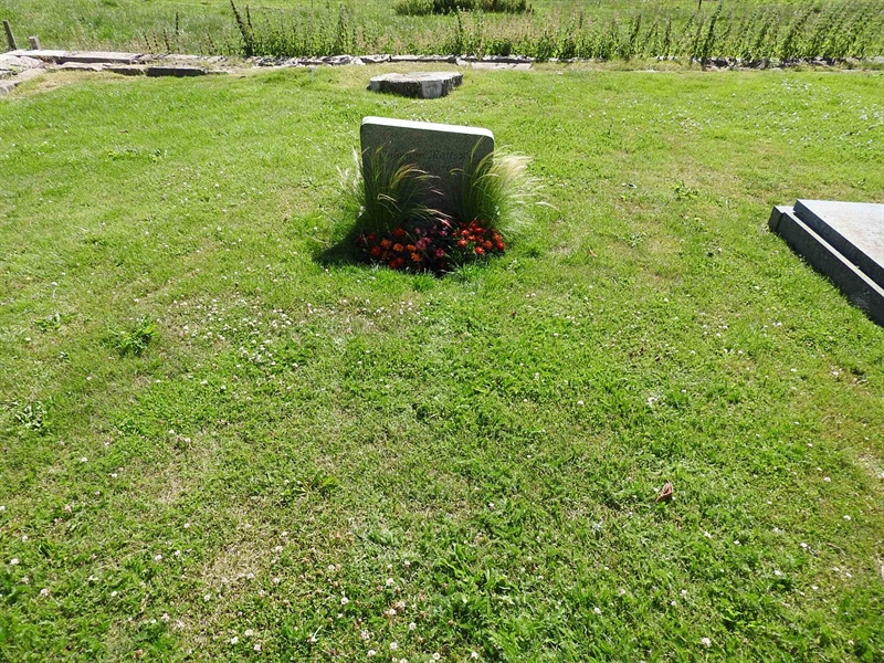 Hautatunnus: BRO 1     2