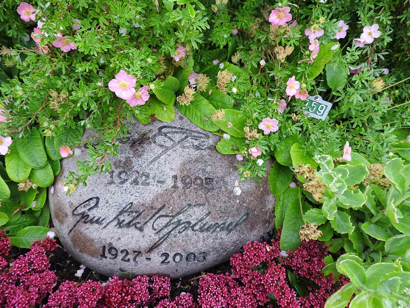 Hautatunnus: BRO 2U B    59