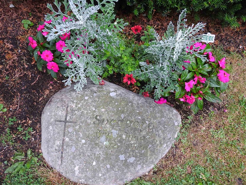 Hautatunnus: BRO 2U B    66