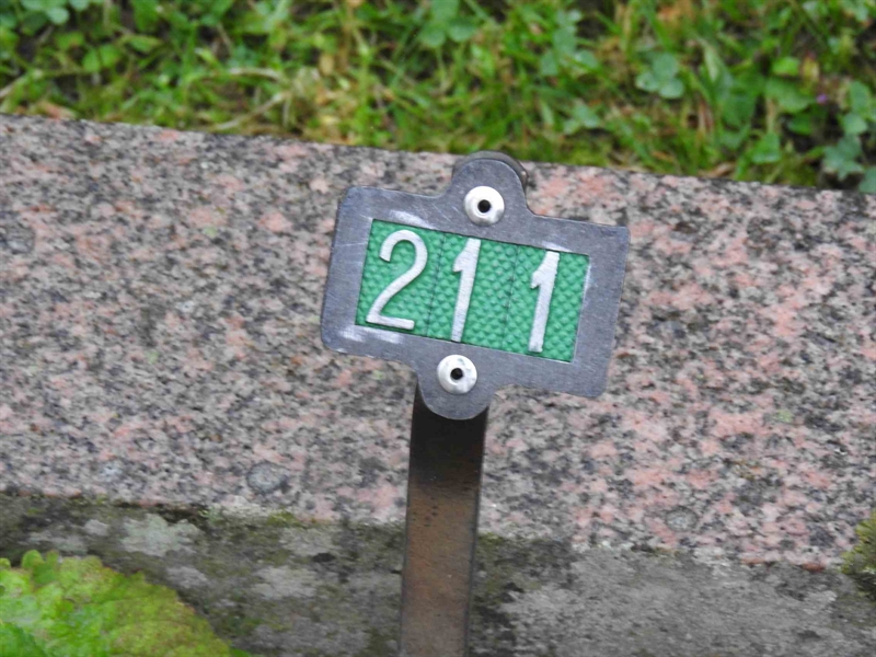 Hautatunnus: BRO 1   211
