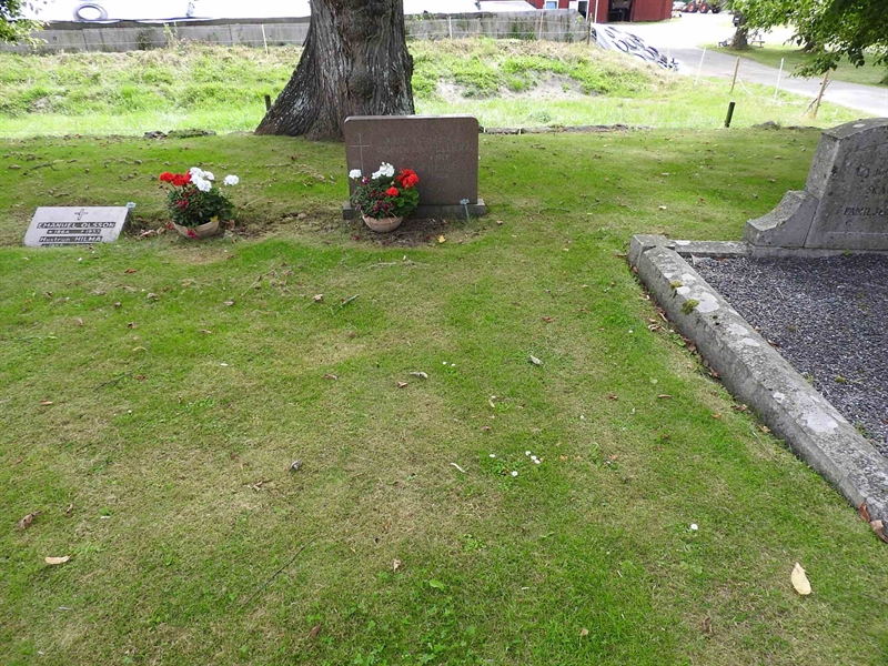 Hautatunnus: BRO 1    21