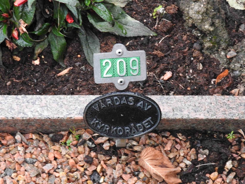 Grave number: BRO 1   209