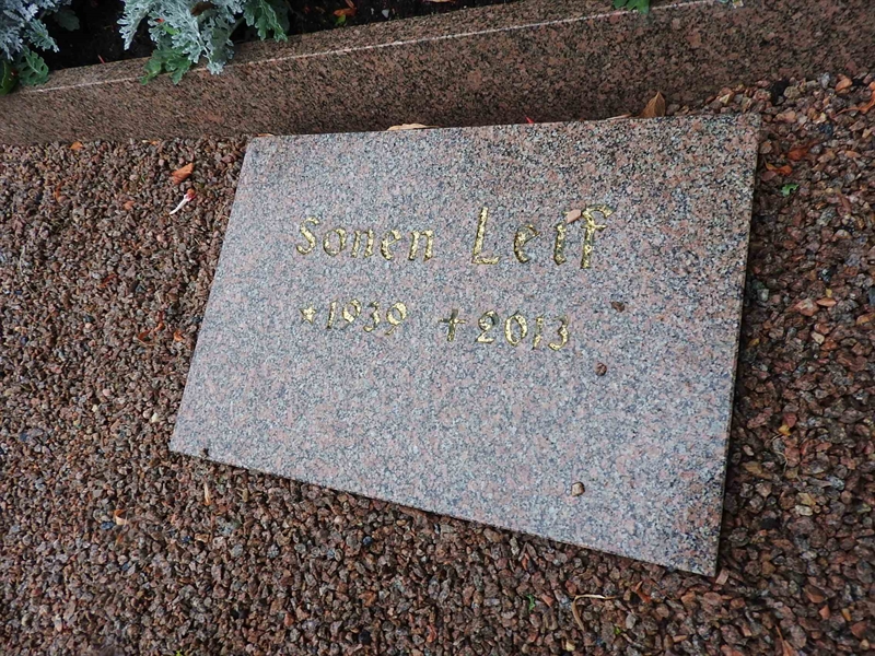 Hautatunnus: BRO 1   207-208