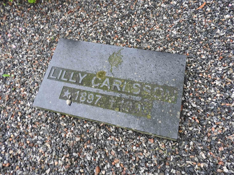 Hautatunnus: BRO 1   218