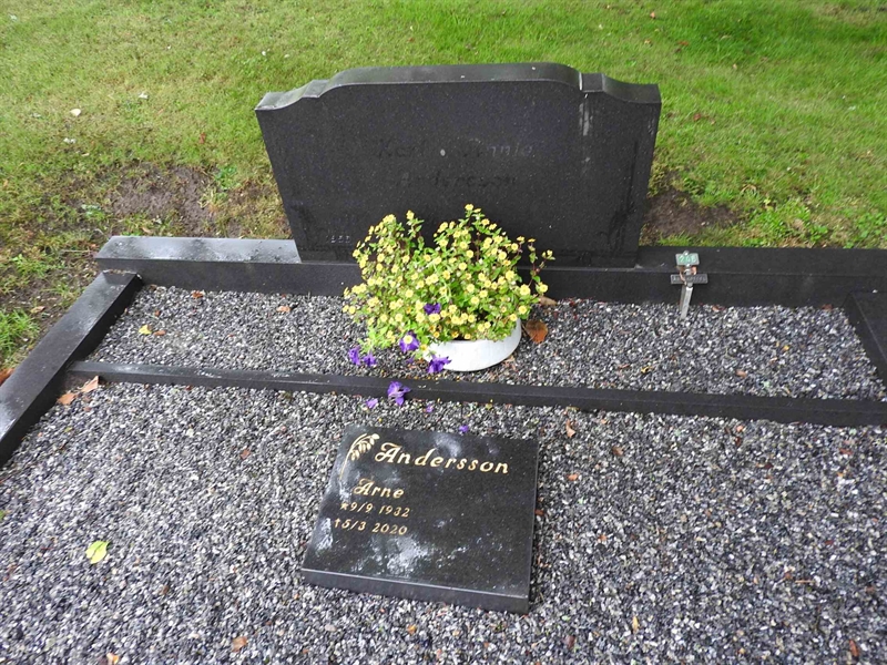 Gravnummer: BRO 1   246