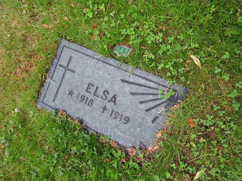 Gravnummer: BRO 1   241