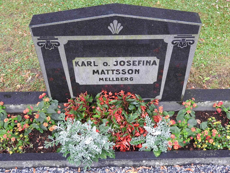 Hautatunnus: BRO 1   243