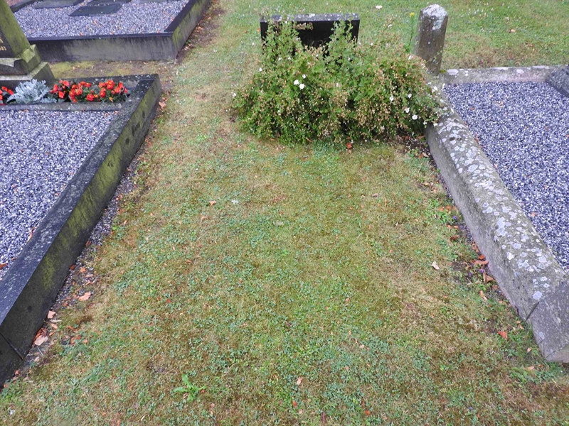 Hautatunnus: BRO 1   237